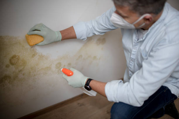 Crawl Space Mold Removal in Morristown, IN