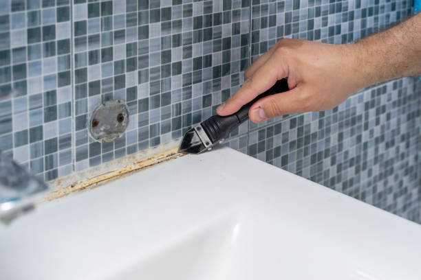 Best Mold Testing  in Morristown, IN